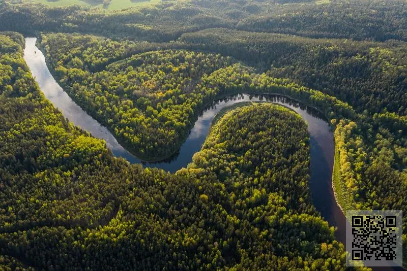 丸都通商株式會社有限公司
