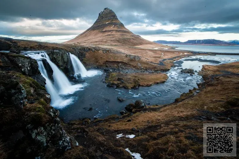 YAU YAU CHU COMPANY LIMITED