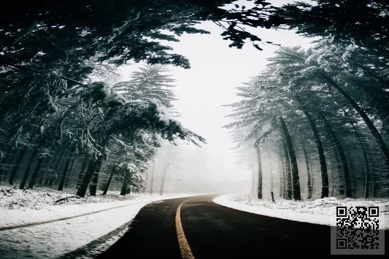 鴻暢國際貨運代理有限公司