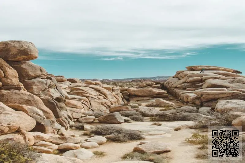 普立工業有限公司