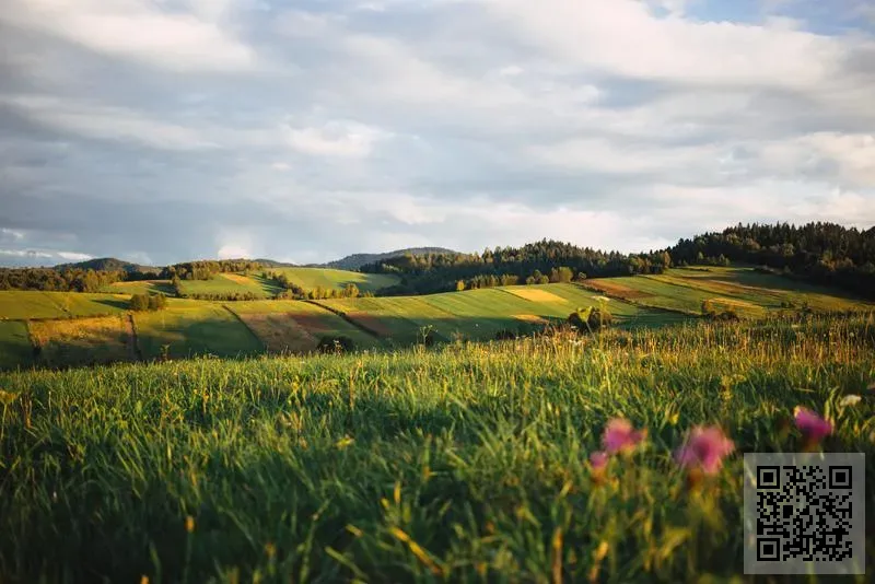 億詩坊環球有限公司