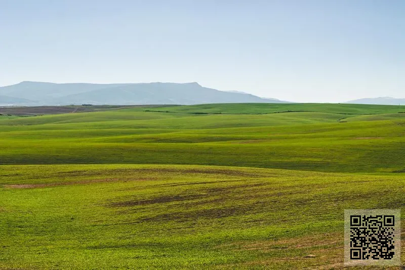 香港寶瑞藥業(集團)控股有限公司