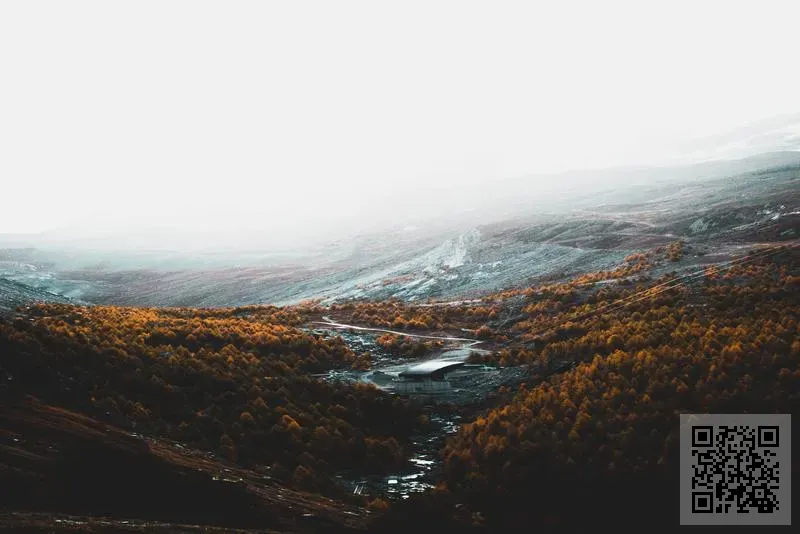 科諾姆分析實驗有限公司