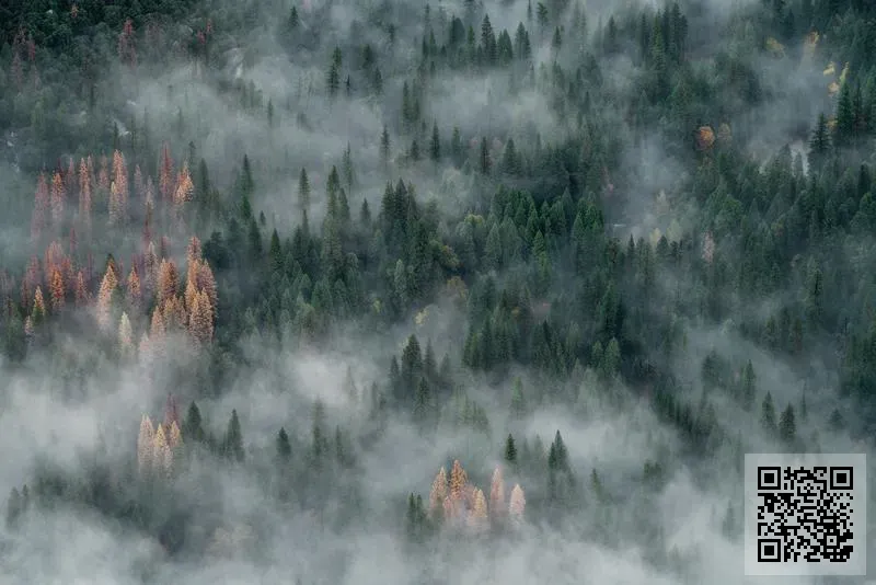 飛騰海產有限公司