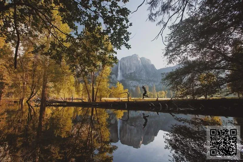 CD Forever International Co., Limited