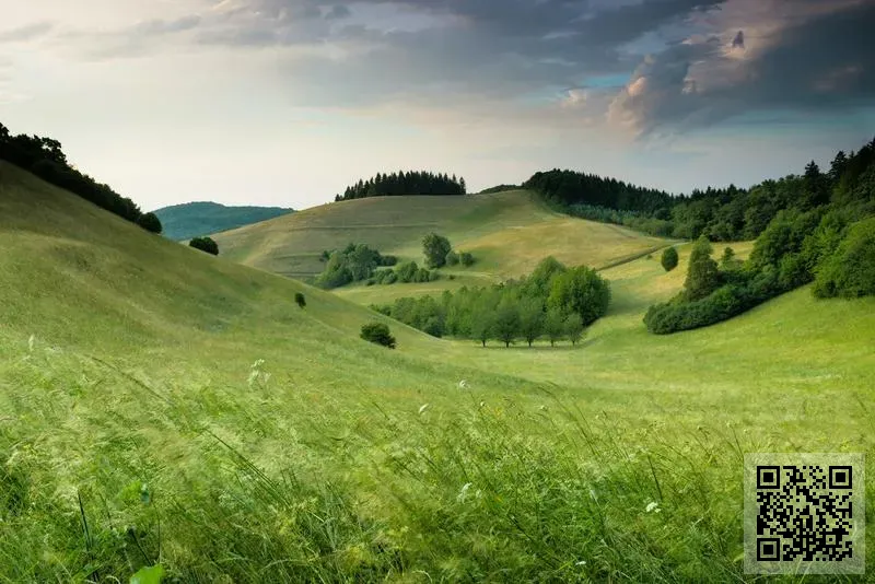 中華藝術藏品鑑賞師學會有限公司