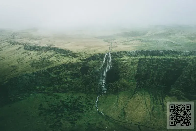 恩康國際集團有限公司