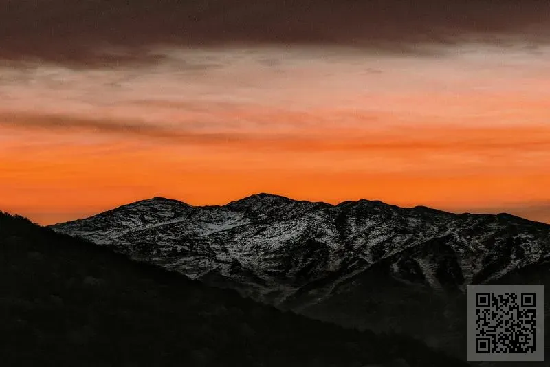 盈豐利有限公司