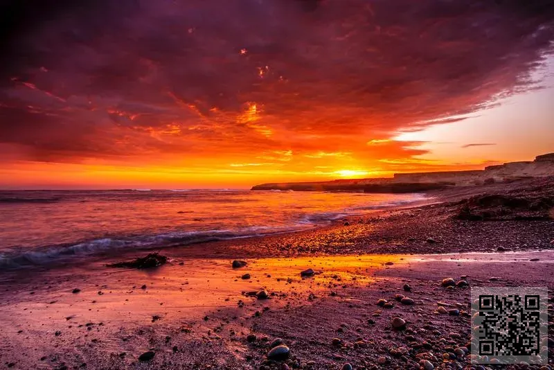 A.S.M Holdings Limited