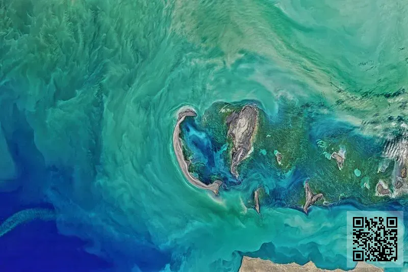 東維亞珠寶集團有限公司