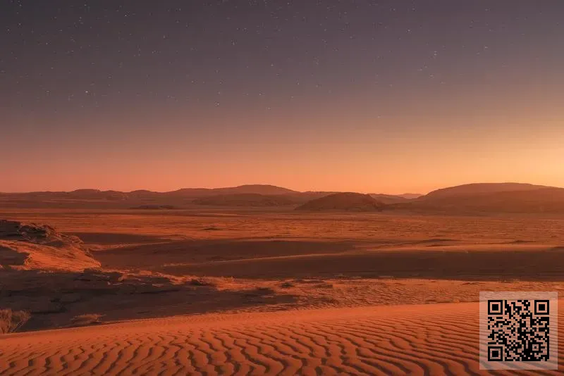 連海國際旅遊有限公司