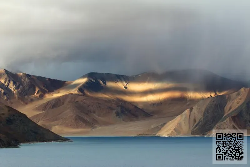 金天財務有限公司