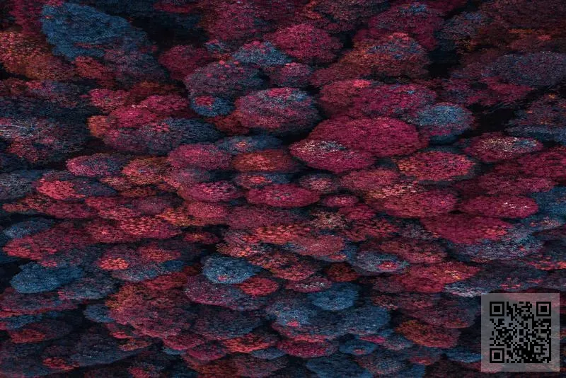 香港嘉上禮品有限公司