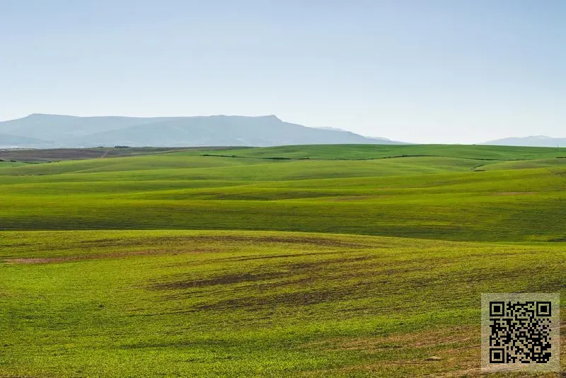 DingSheng Tech Co. Limited