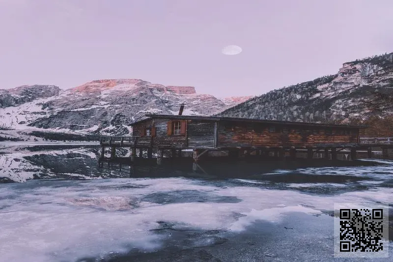 香港美沃優選科技有限公司