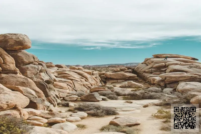 國通資本管理有限公司