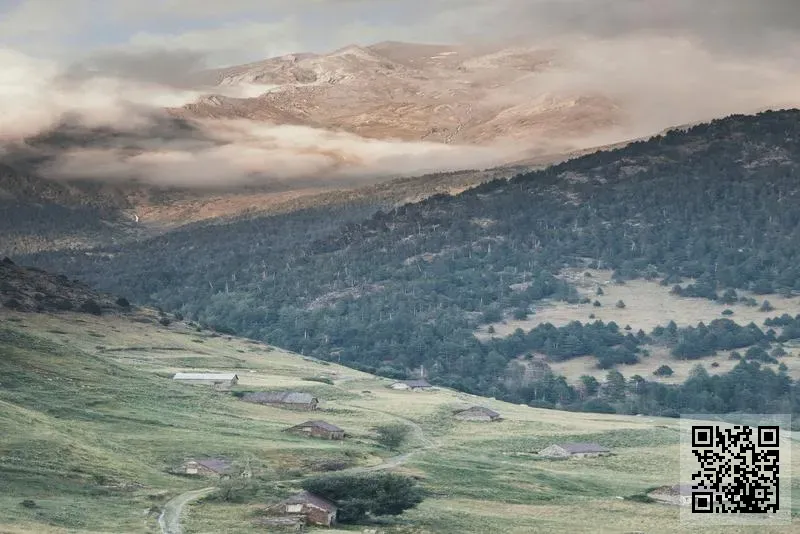 東澤(香港)工貿有限公司