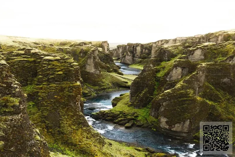 駿邦(中國)有限公司