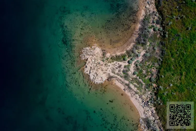 金健康有限公司