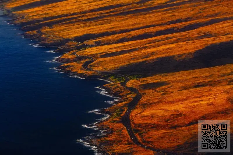香港心理培訓集團有限公司