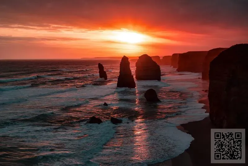 華人文化天下一有限公司