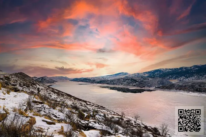 尼拉沙利企業有限公司