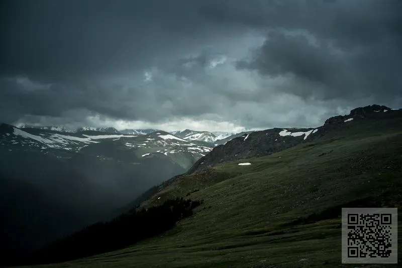 創崎實業發展有限公司