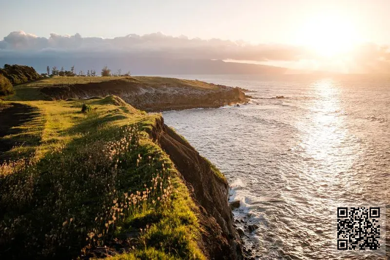 澳威石油化工(廣州)有限公司