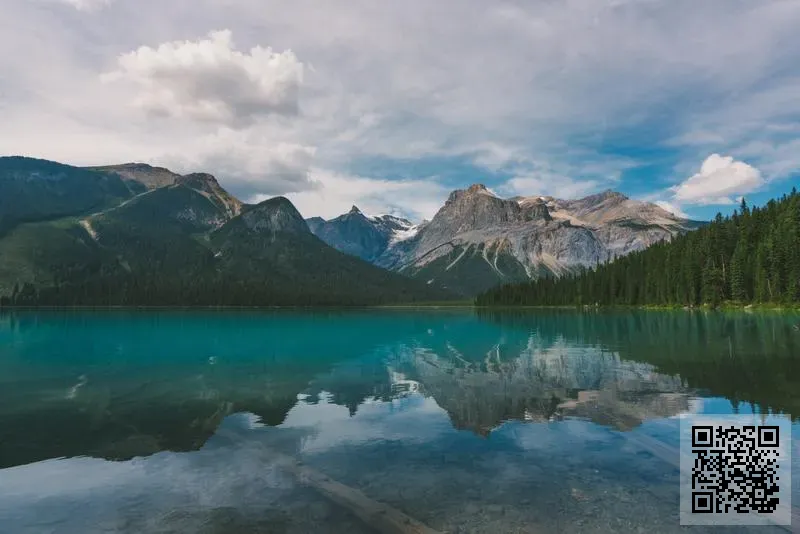 SPEED EUROPE LOGISTICS LIMITED