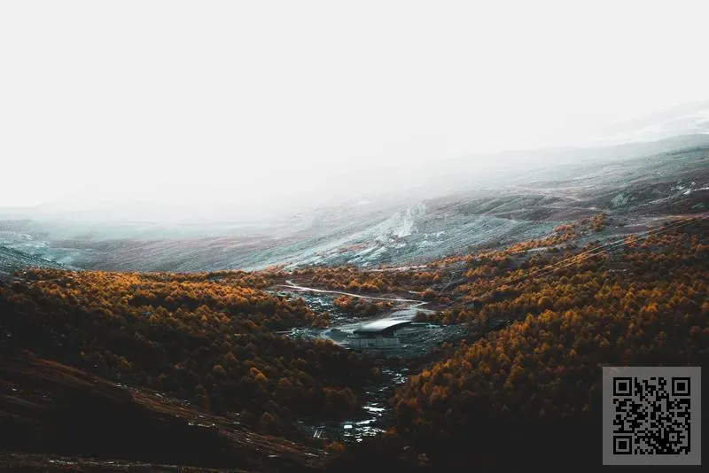 古著花色懷舊服飾設計有限公司