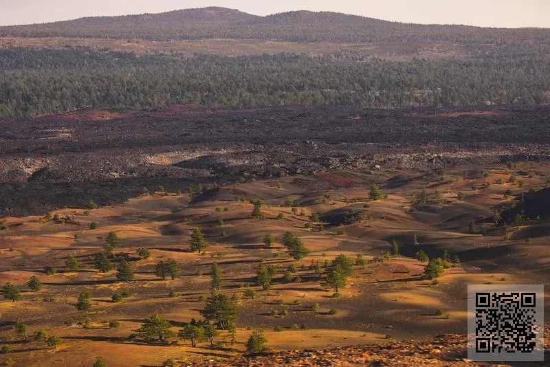 Global Linked Co., Limited