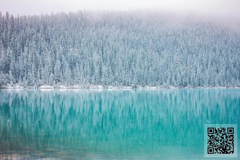 SB2 PARTNERS LIMITED