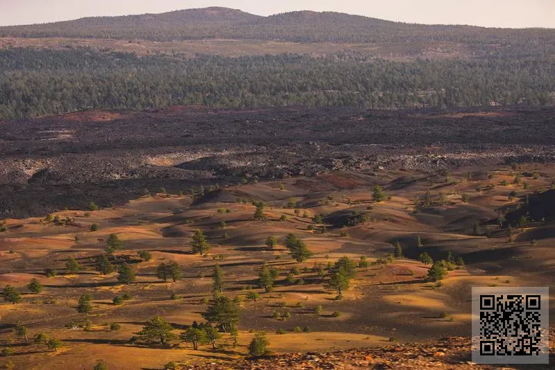 Atlantic View Holdings Limited