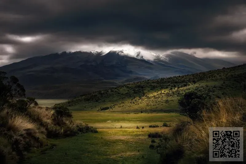 中投國際資產管理有限公司