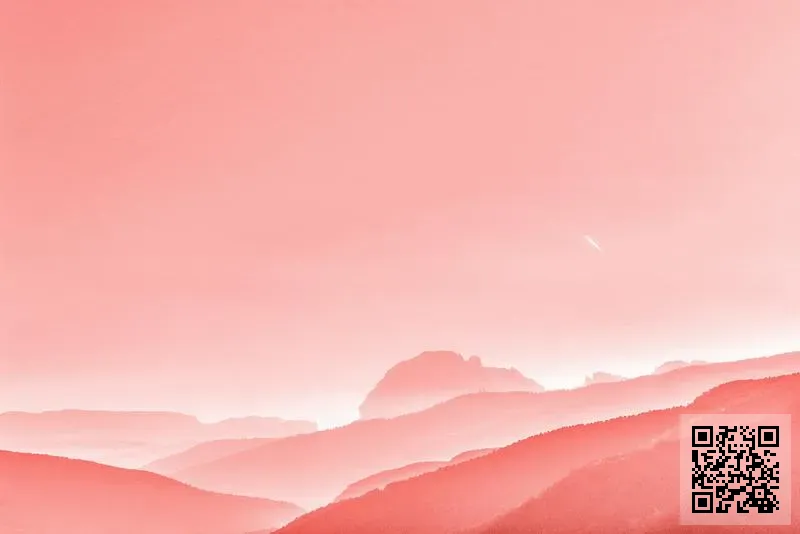 Chinese Connection Limited -The-