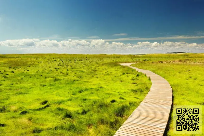 雪之假期(香港)有限公司