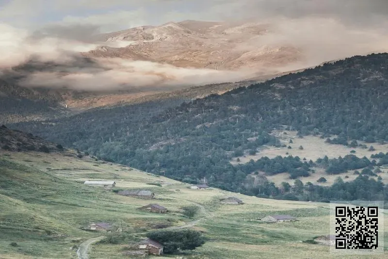 大唐科技實業有限公司