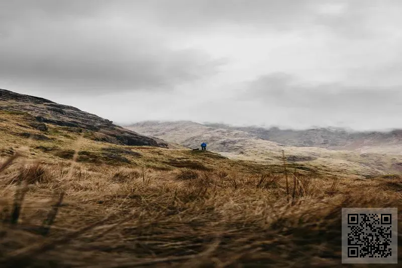 森茂電子有限公司