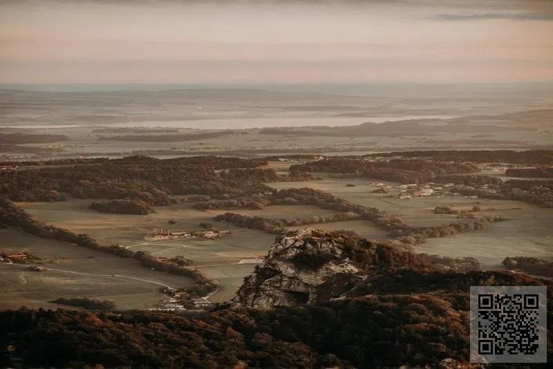 大中華國際投資控股有限公司