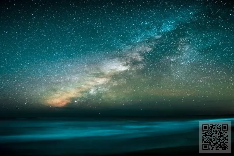 星一技術有限公司