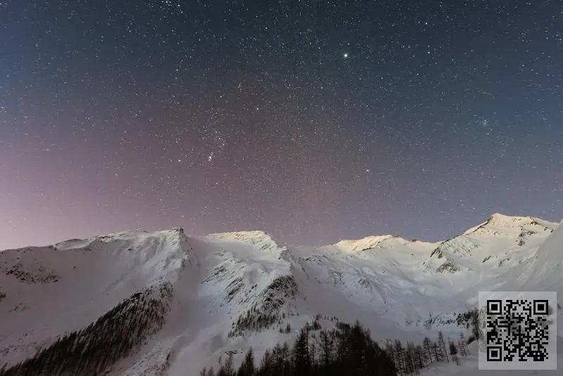 意諾策略投資有限公司