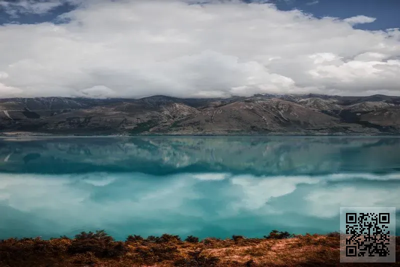 維柏工程有限公司