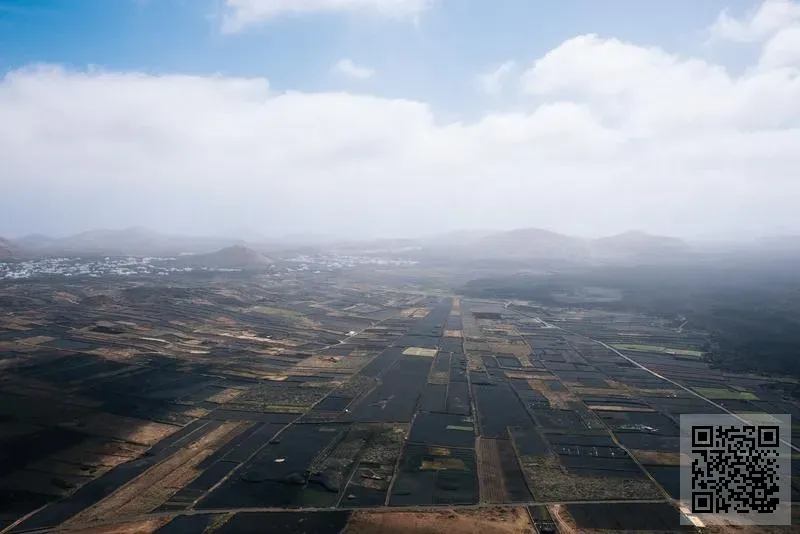 冠威貿易投資有限公司