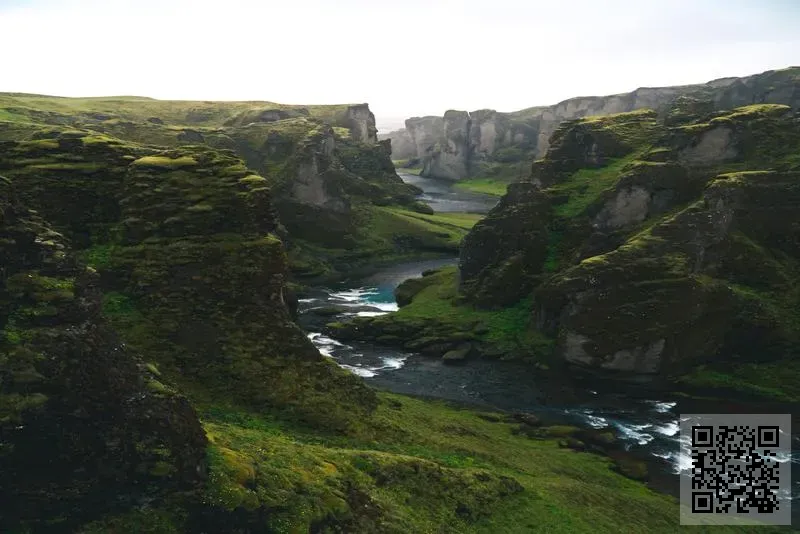 喜車歌汽車連鎖服務管理有限公司