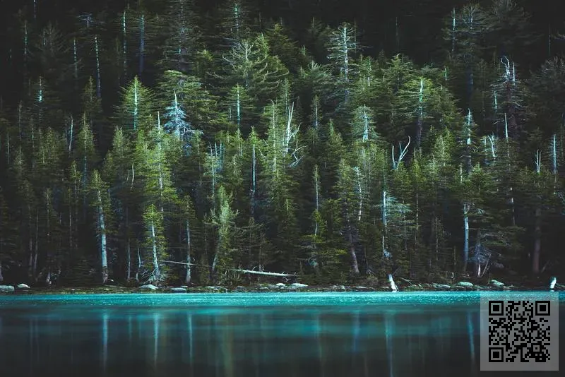 展悅亞太投資有限公司