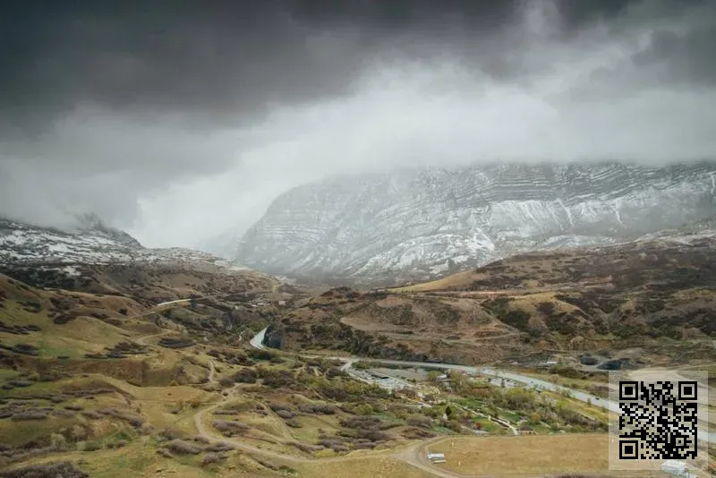 翔宇科技有限公司