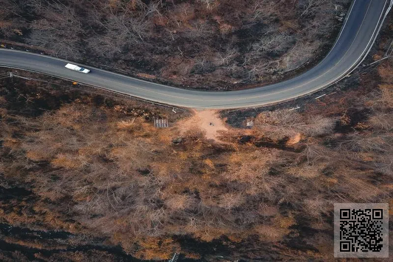 茶多歡餐飲文化有限公司