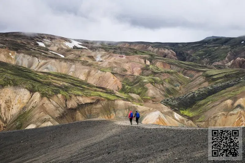 駿峰集團有限公司