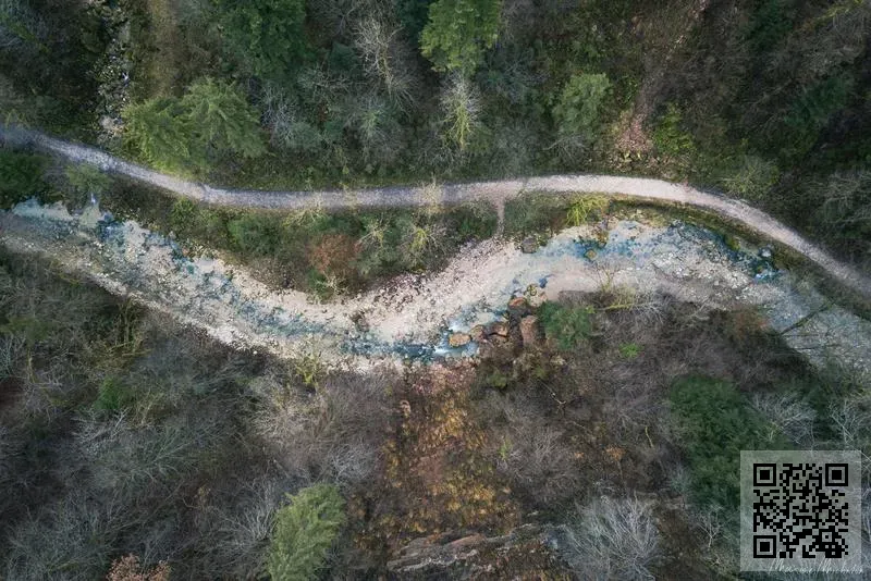 鑫譽國際貿易有限公司