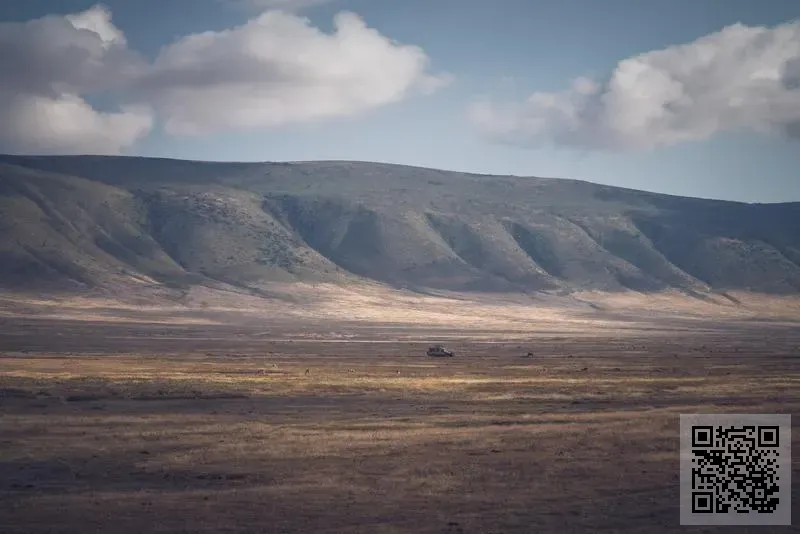 中國萬向航空有限公司